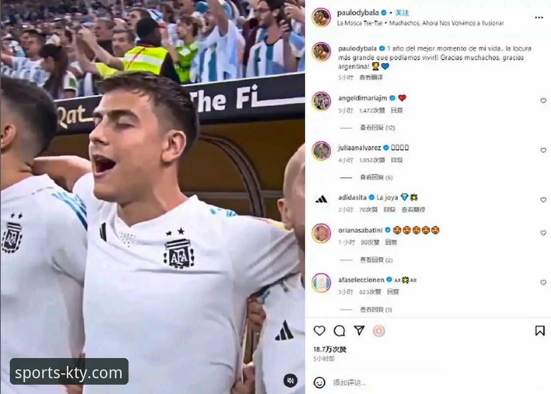 阿根廷世界杯前折损大将的3个关键影响与深度分析